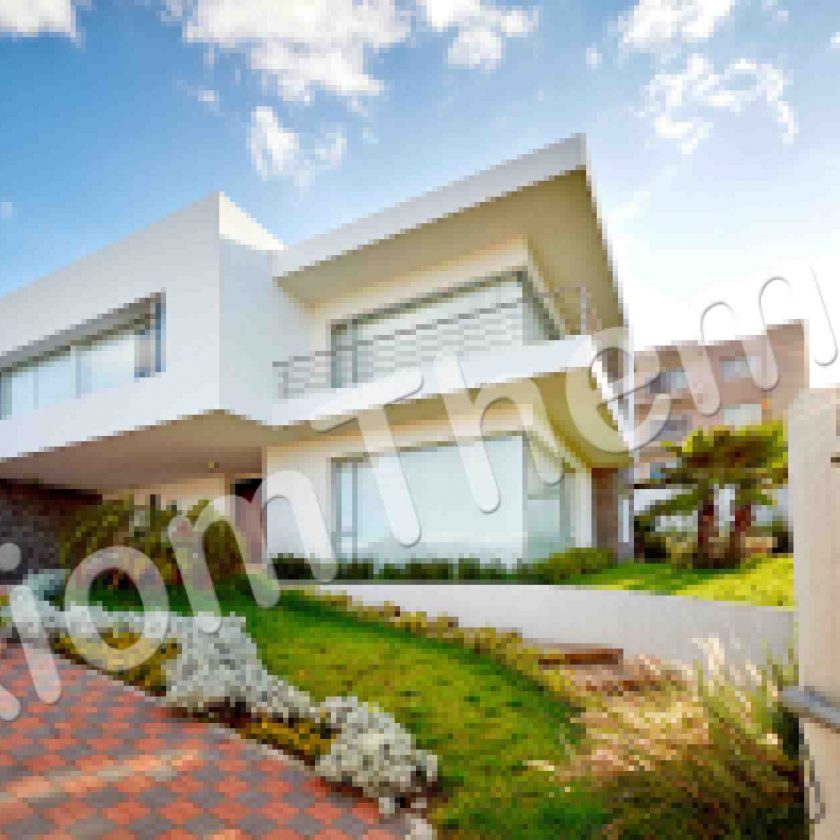 First Property Search